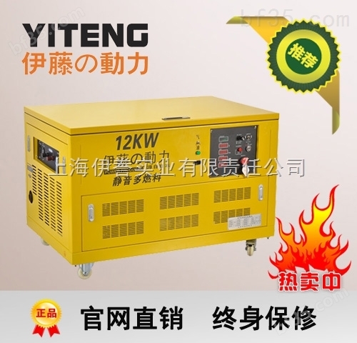 12千瓦移动式汽油发电机YT12RGF