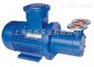 漩涡磁力泵CWB32-50_1                           