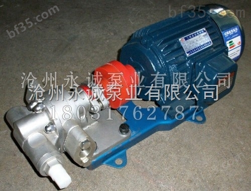 永诚泵业不锈钢齿轮泵常规问题与使用效率
