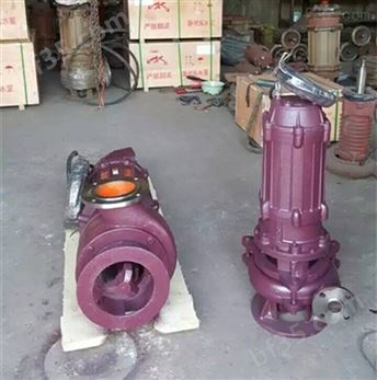 利欧立式搅匀潜水渣浆泵泥浆泵40ZJQ-40-17-K矿用抽沙泵污水排污泵