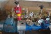 出售螺杆泵配件SPF20R38G8.3W20,亦百诺泵业