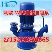 利欧65WFB-AD无密封自控自吸泵化工泵真空泵自吸清水泵循环泵增压泵