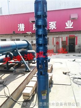 天津井泵生产厂家保证井泵质量