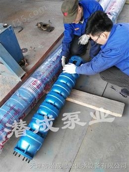 天津井泵生产厂家保证井泵质量