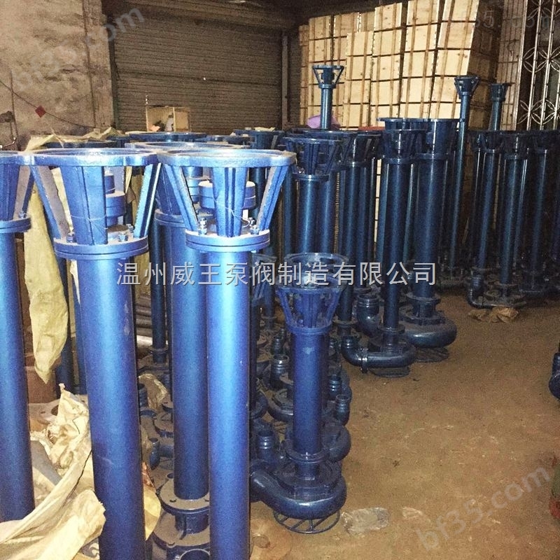 NL型不锈钢污水液下泵温州威王生产厂家